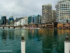 dsc_1252.jpg