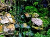 dsc_2142.jpg