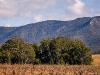 dsc_2645.jpg