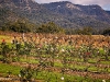 dsc_2646.jpg