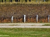dsc_2649.jpg